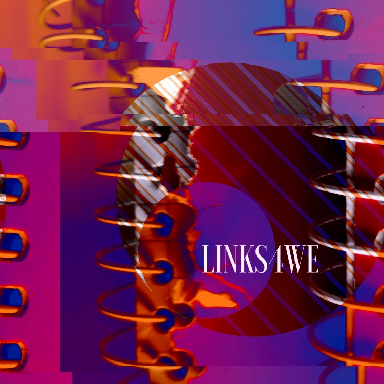 LINKS4WE 163 logo