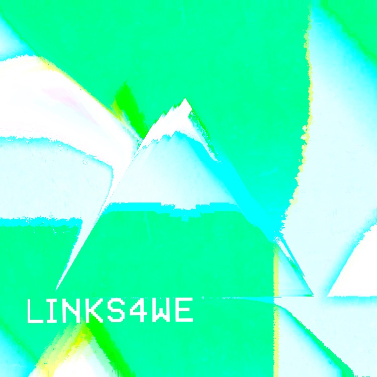 links4we logo